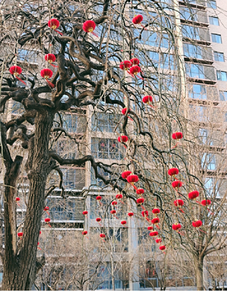 微信图片_20230201103445.png