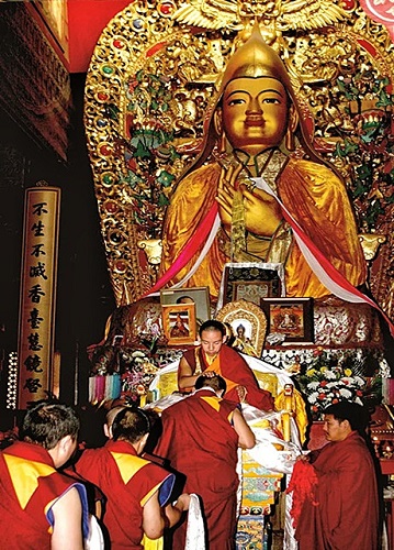 1675389524112226.jpg 3.jpg