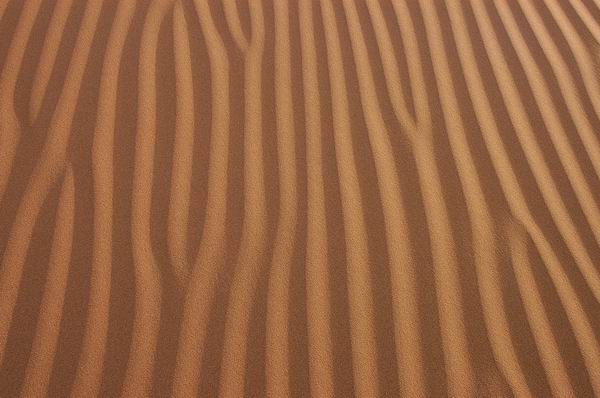 1677856133658816.jpg 81047_1174317387.jpg