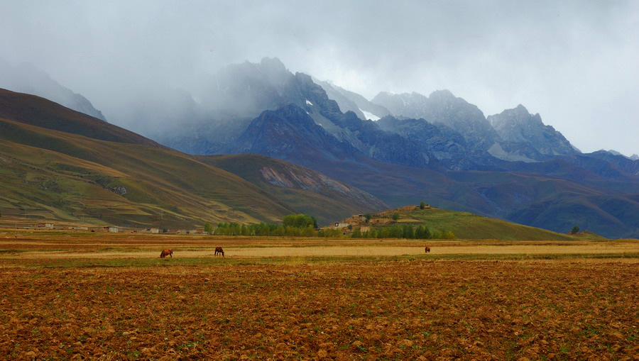 1677856257103457.jpg 210368_1178815529.jpg