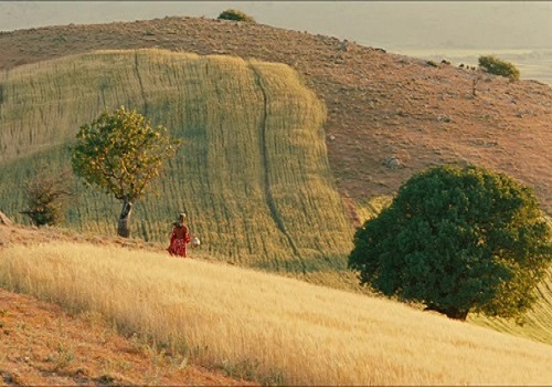 1678666312715145.jpg 1.jpg