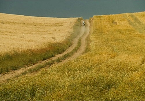 1678666339123789.jpg 3.jpg