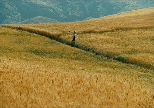 1678666360513713.jpg 5.jpg