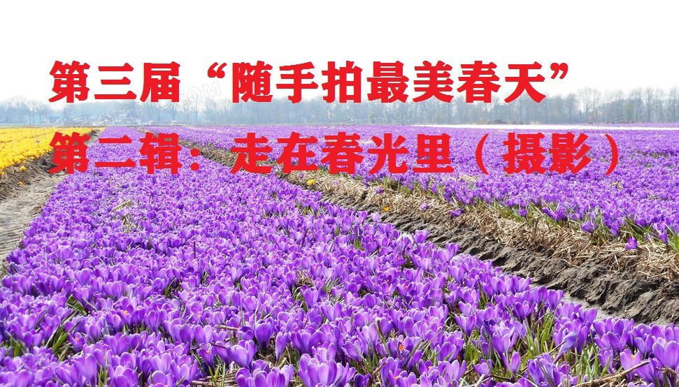 1678671705109993.jpg 1120.jpg