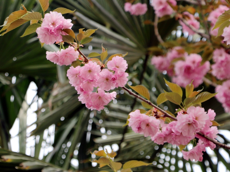 1680171572343694.jpg 006.jpg