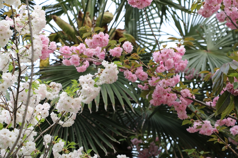 1680171599771215.jpg 007.jpg