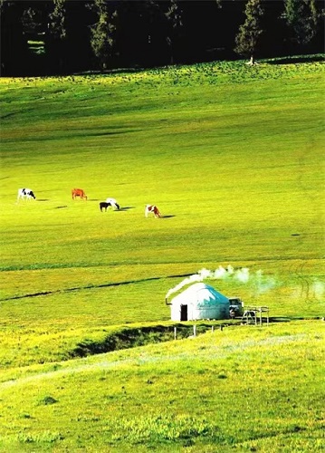 1681348368122959.jpg 3.jpg