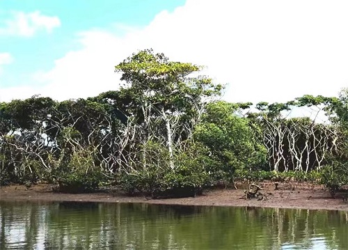 1681348421106473.jpg 7.jpg