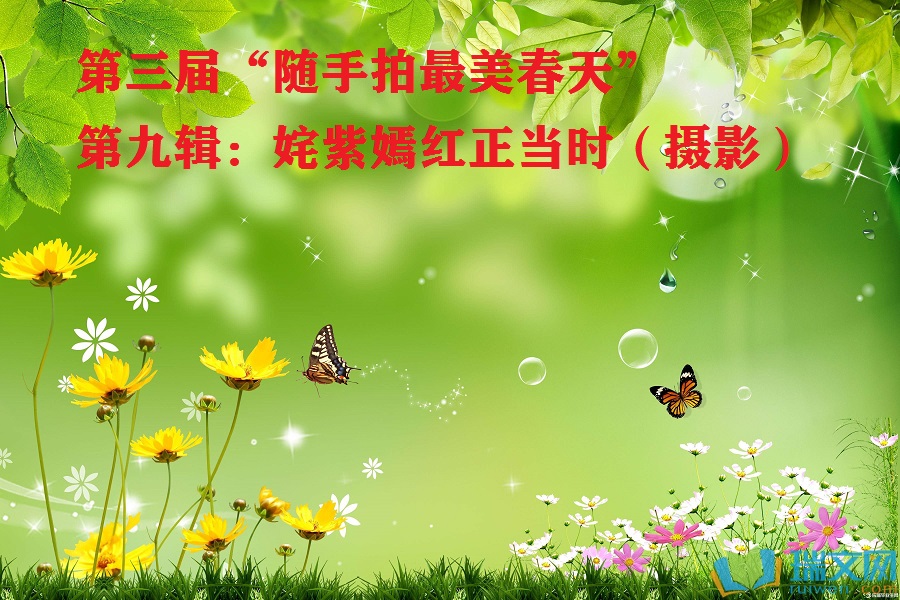 1681558313556099.jpg 09d9077a434c4f0cfb9f924b8165f058.jpg