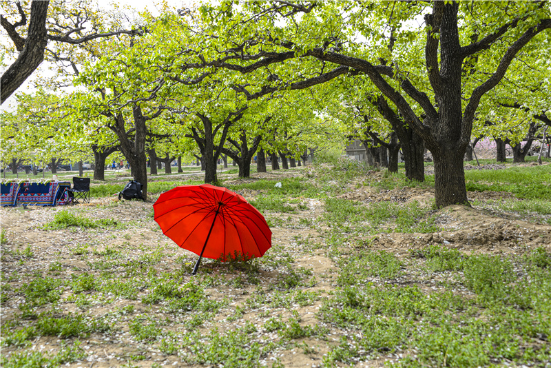 1681602156103685.jpg DSC_3637.jpg-1.jpg