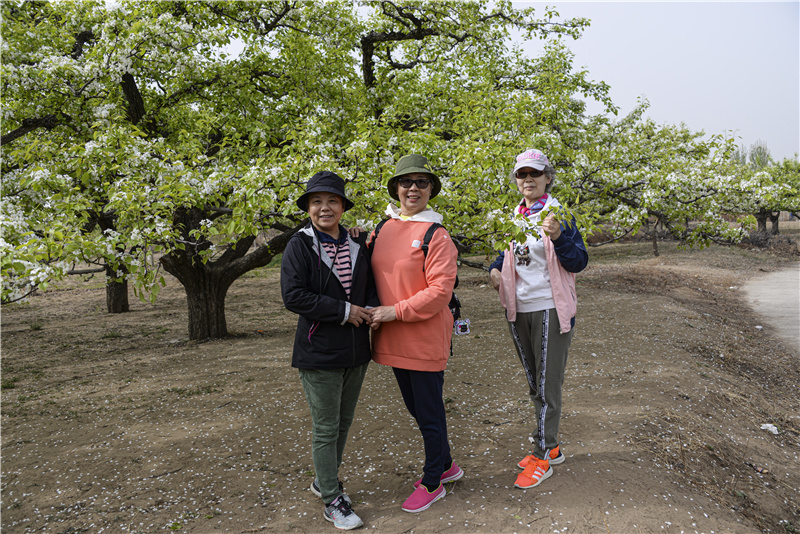 1681602307134612.jpg DSC_3412.jpg-1.jpg