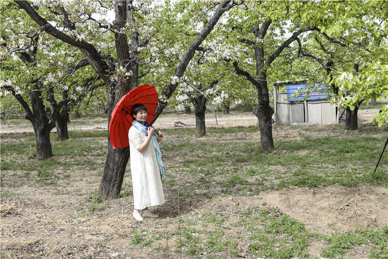 1681602338115264.jpg DSC_3719.jpg-1.jpg