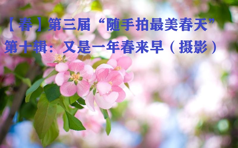 1681949717121306.jpg u=1604338677,1365399583&fm=253&fmt=auto&app=138&f=JPEG.jpg