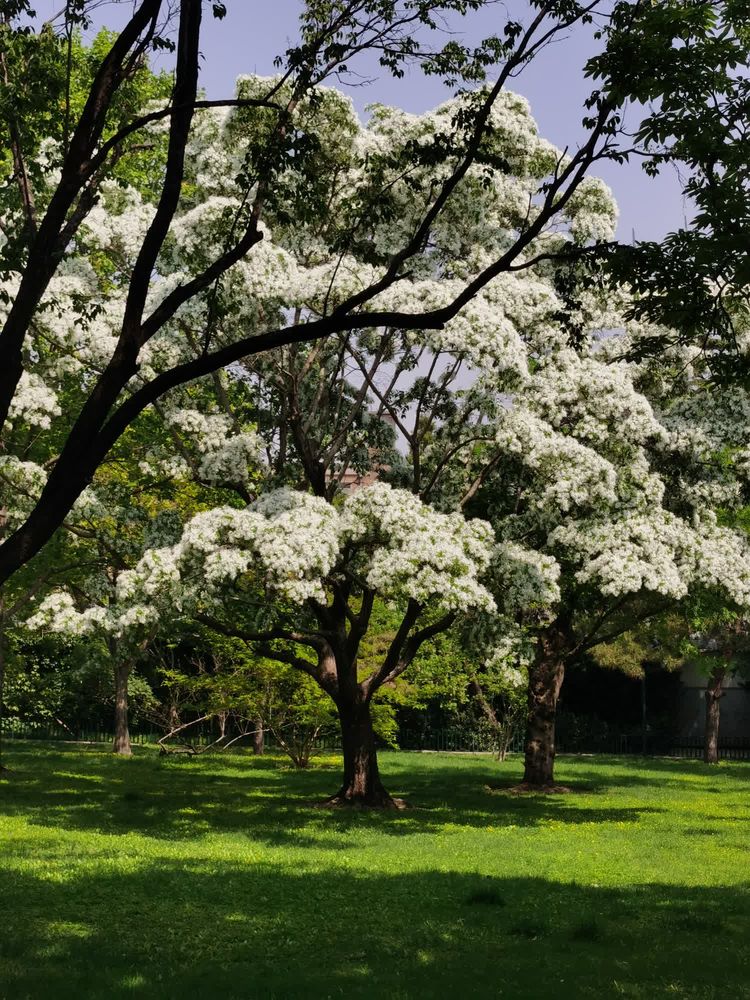 e0633ac7f6536c811935758cdd6cd844 (1).jpg