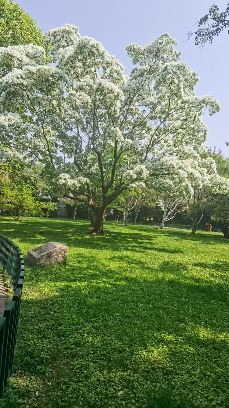 f2fda7893653abcf047c0ab98821b650 (1).jpg