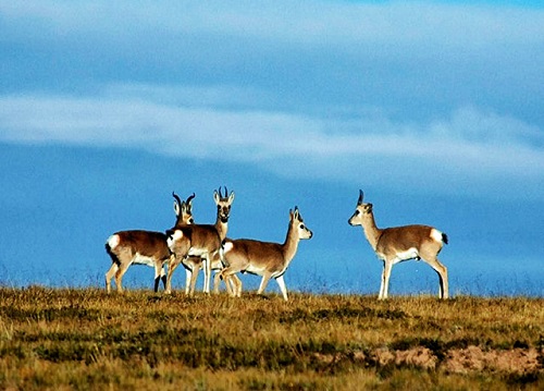 1683778169237535.jpg 2.jpg