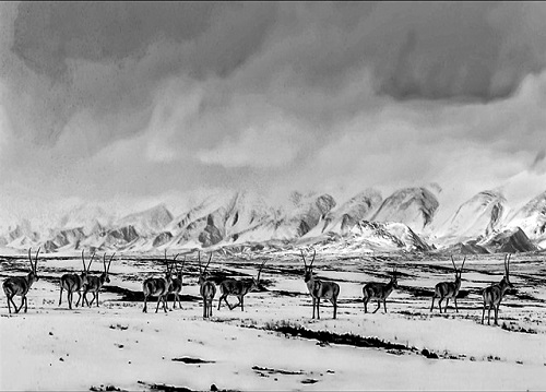 1683778237766912.jpg 5.jpg