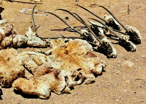 1683778263238912.jpg 6.jpg