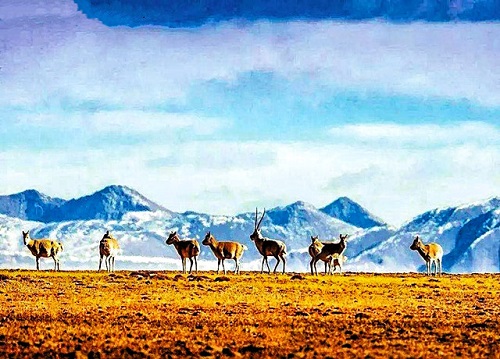 1683778277545944.jpg 7.jpg