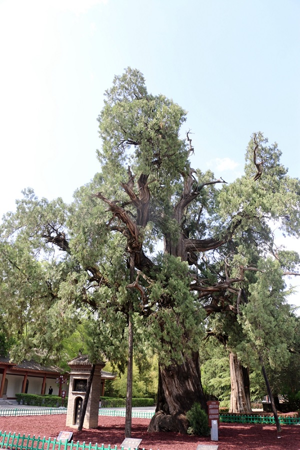 1684414198357723.jpg 微信图片_20230518204132.jpg