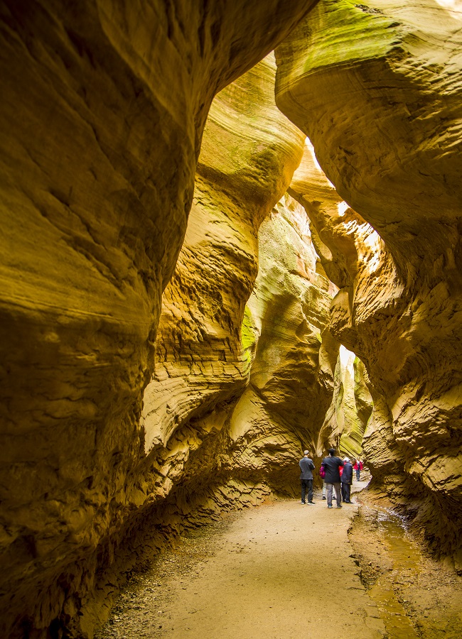 1684489259589492.jpg 微信图片_20230519164054.jpg