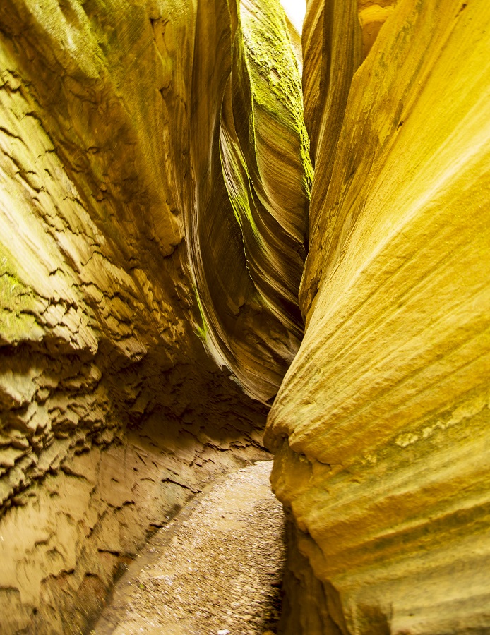 1684489425411728.jpg 微信图片_20230519164104.jpg