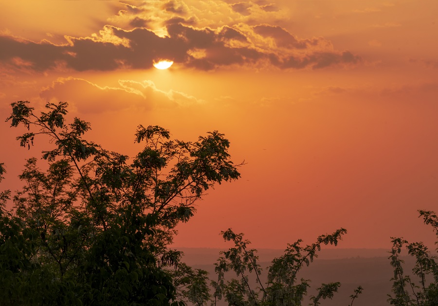 1684574228581789.jpg 081(4).jpg