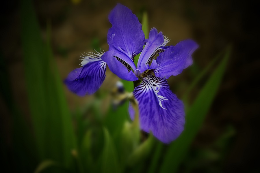 1684575053721169.jpg 微信图片_20230520164427.jpg