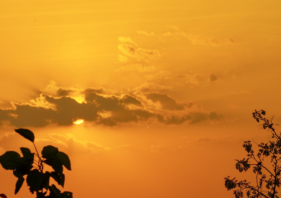 1684580488769063.jpg 7(1).jpg