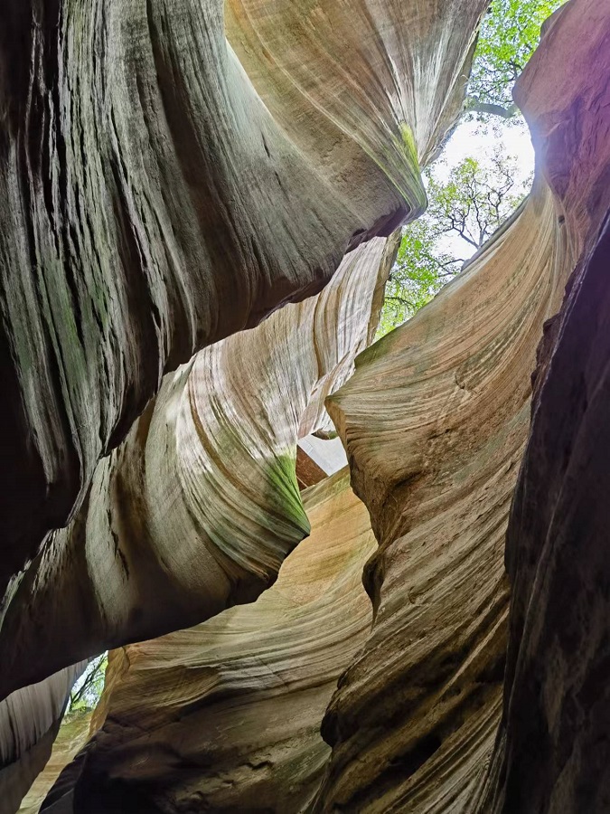 1684584933610620.jpg 微信图片_20230518140200.jpg