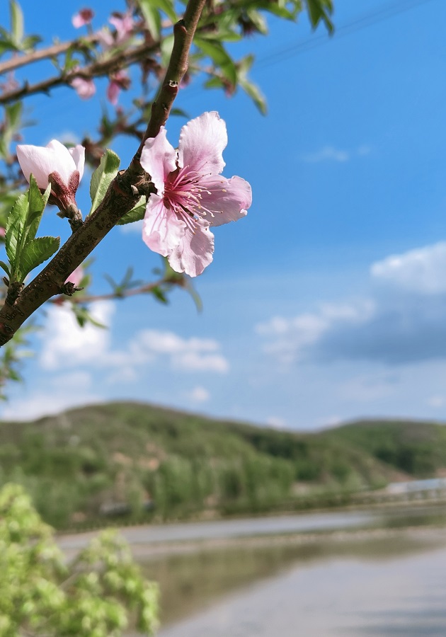 1684585969114163.jpg 微信图片_20230516181529.jpg