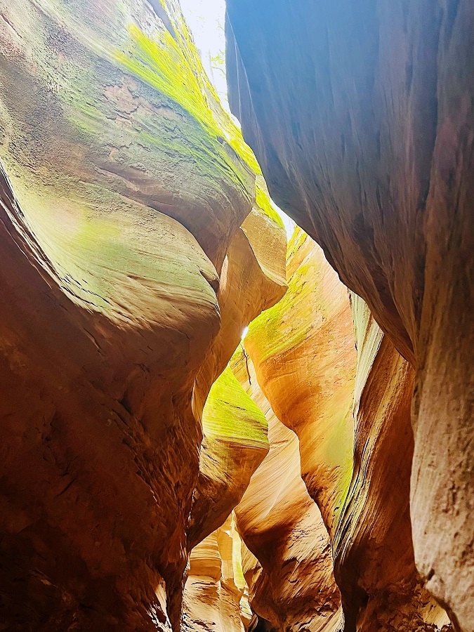 1684637962520039.jpg 微信图片_20230519164715.jpg