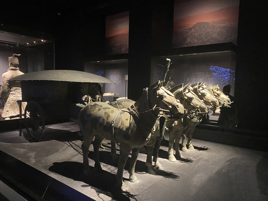 1684638457846004.jpg IMG_3778.JPG