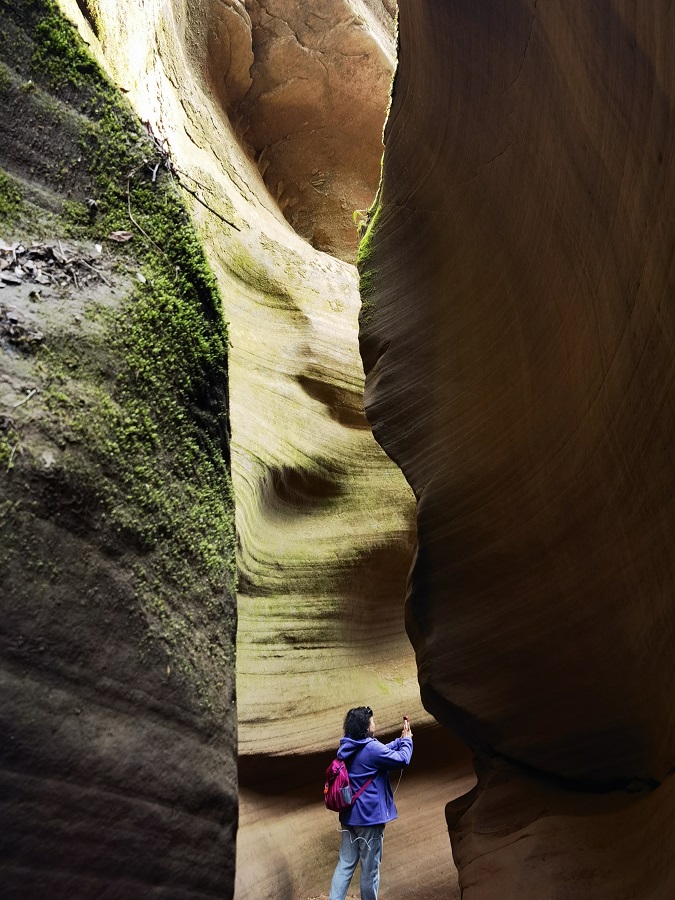 1684642862116646.jpg 微信图片_20230520113906.jpg