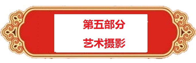 1684650570141273.jpg 1681853869706969-1.jpg