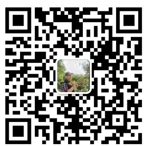 1684723568915845.jpg 1684285288135524.jpg