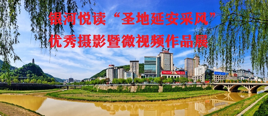 1684729022135868.jpg 1684641384219376.jpg