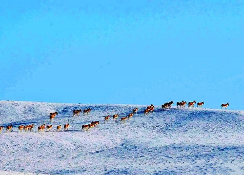 1684803877923892.jpg 2.jpg