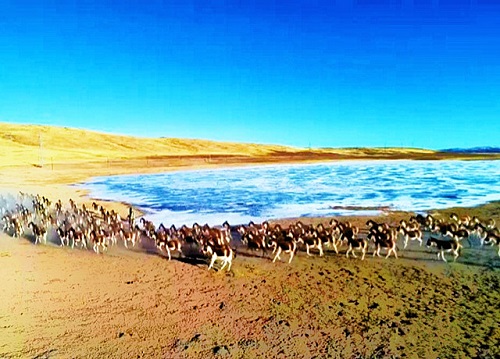 1684803909342705.jpg 4.jpg