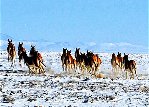 1684803967240332.jpg 6.jpg