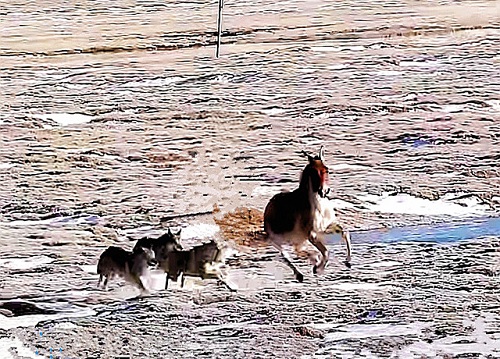 1684804018267571.jpg 8.jpg