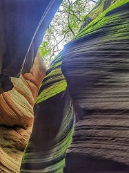 origin6bf985b3b0c6b765974a90f74290f4ad (1).jpg