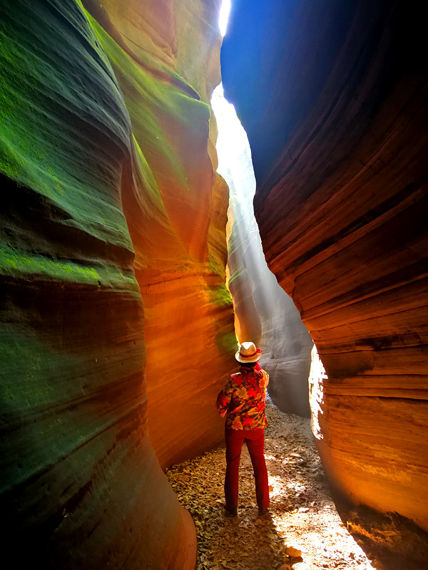 1684967004189511.jpg 微信图片_20190928180810_副本.jpg