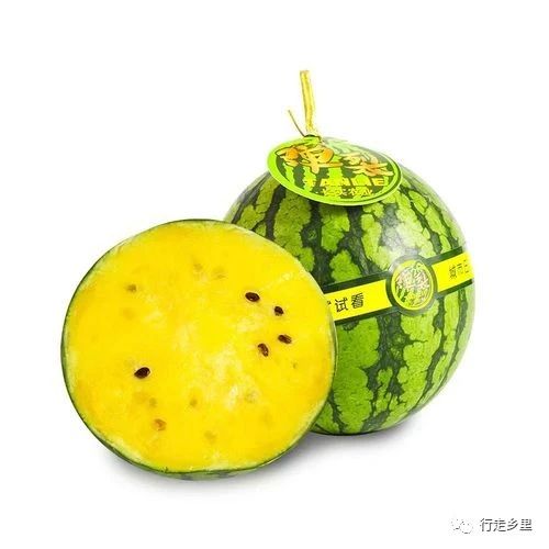 1689308457339951.jpg 微信图片_20230714121422.jpg