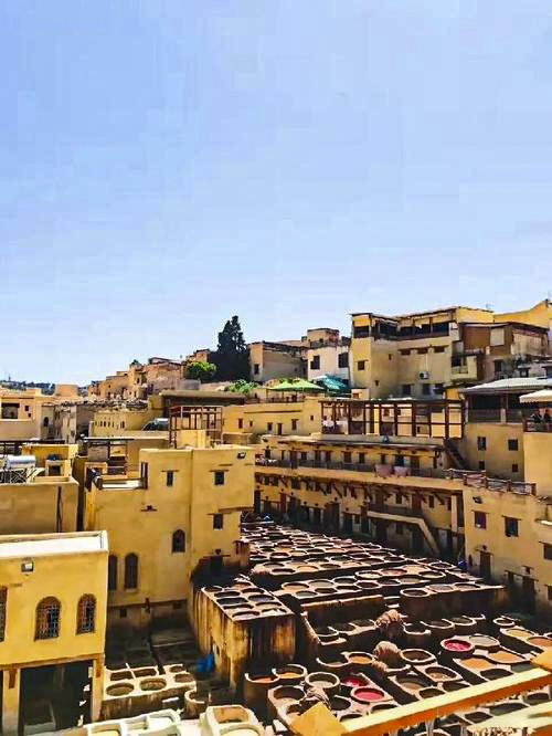 1693460290979360.jpg 1693381106425885.jpg