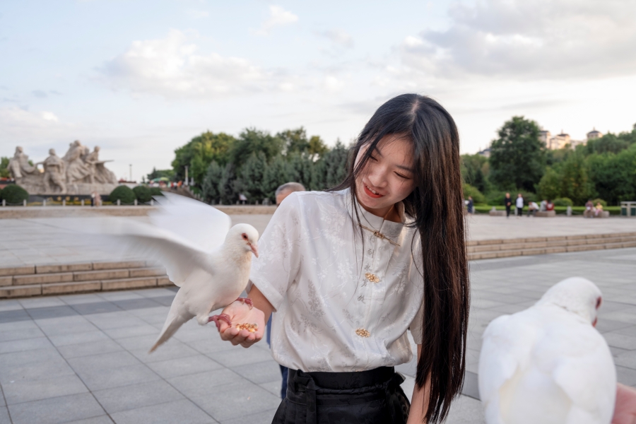 1694898997553173.jpg 美女与和平鸽.jpg