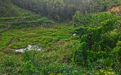 1696227646130145.jpg 1696227646130145.jpg