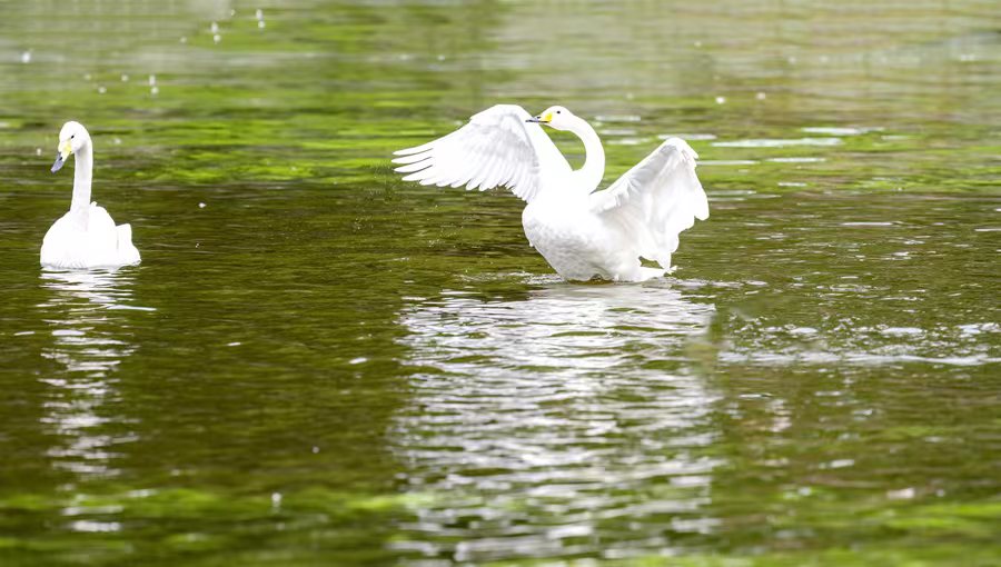 1696844735656966.jpg 微信图片_20231009174414.jpg