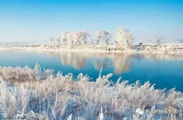 1697776993121569.png 1697776993121569.png