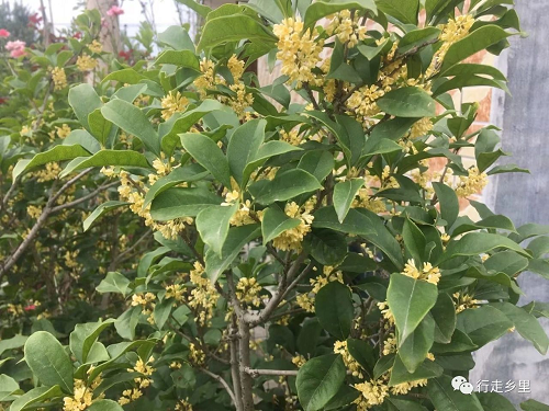 1698197361427348.png 1698197361427348.png